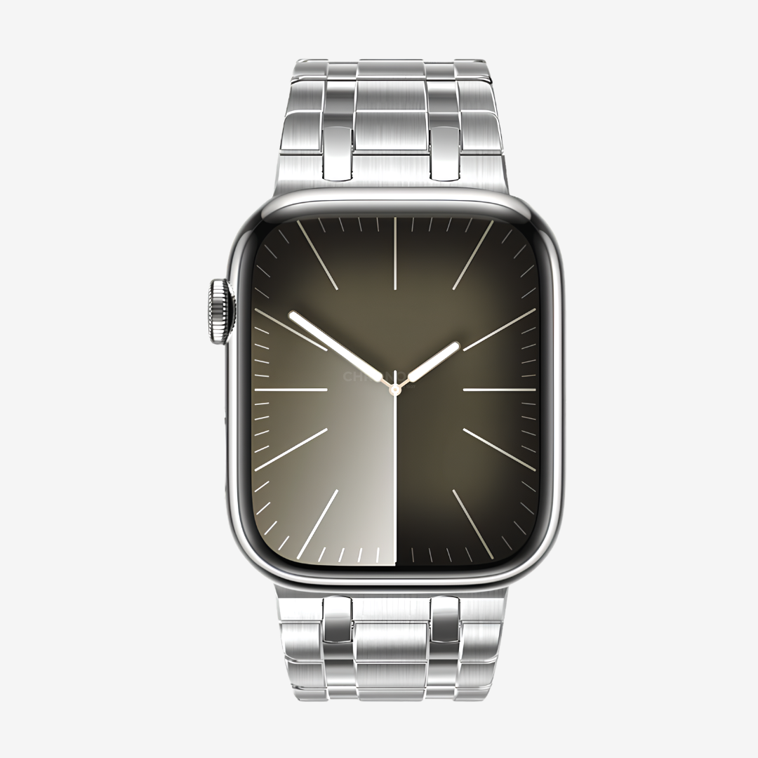 AP Frosted Stainless Steel Magnetic Band For Apple Watch - Watch Band