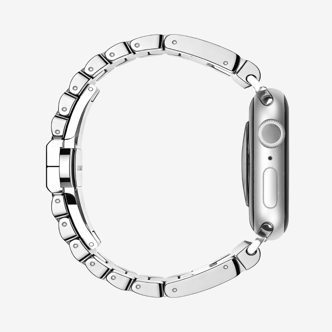Apple Watch Band - Classic Steel - Watch Band